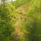 20112308130806-497.jpg